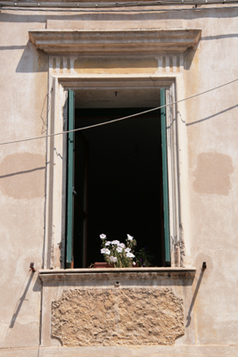 One of many classic photos of windows that tourists take in Europe.